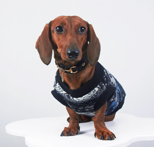 KFX-9988285 Cozy Geometric Patterned Pet Vest for Autumn and Winter