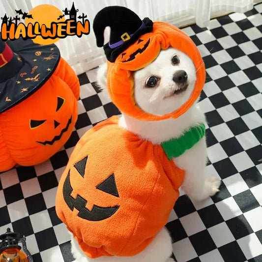 KFX-9994301 Festive Pumpkin Vest for Pets - Comfortable Cat and Dog Costume Harness for Halloween and Thanksgiving