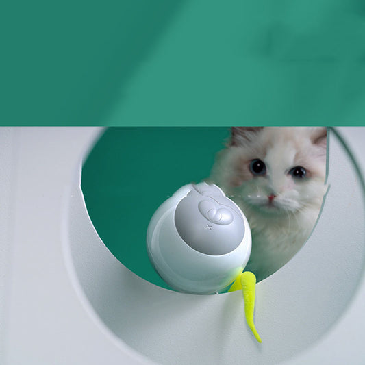 LED Luminous Automatic Funny Cat Rolling Ball