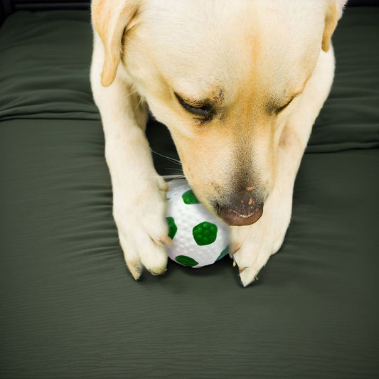 LaTeX Pet The Toy Dog Latex High Elastic Ball