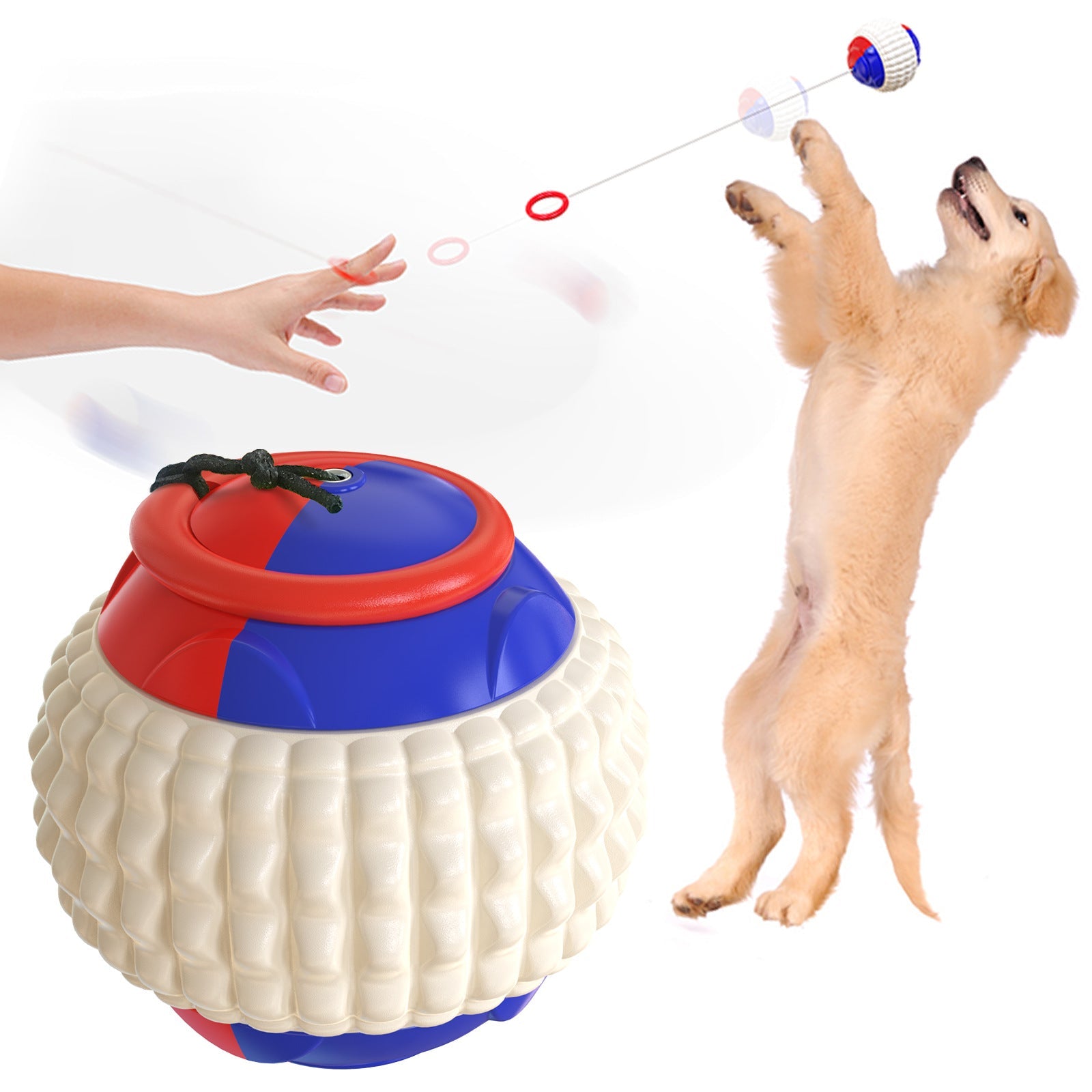 Biting A Dog Training Golfers Throwing And Throwing Toy Balls