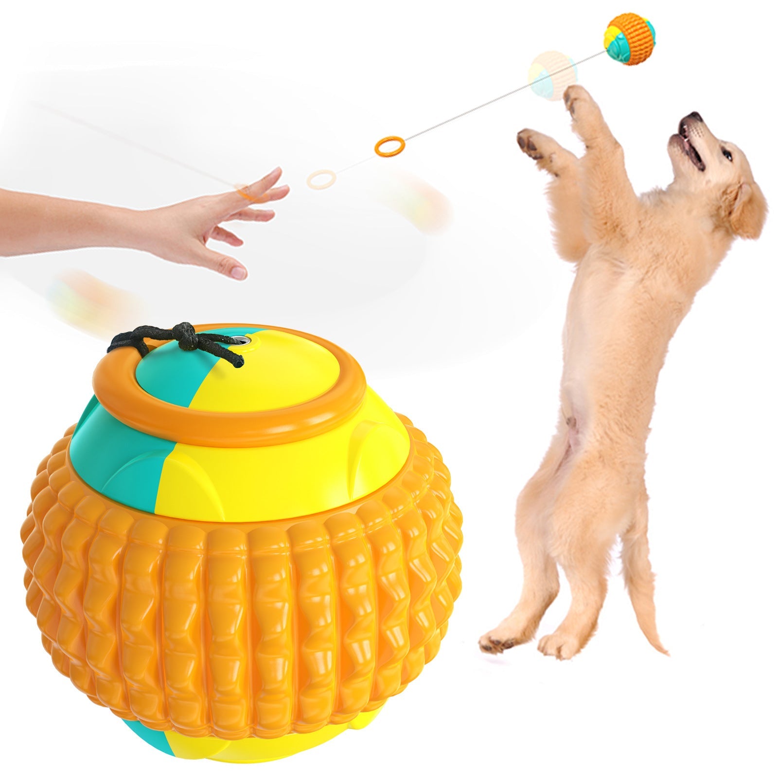 Biting A Dog Training Golfers Throwing And Throwing Toy Balls