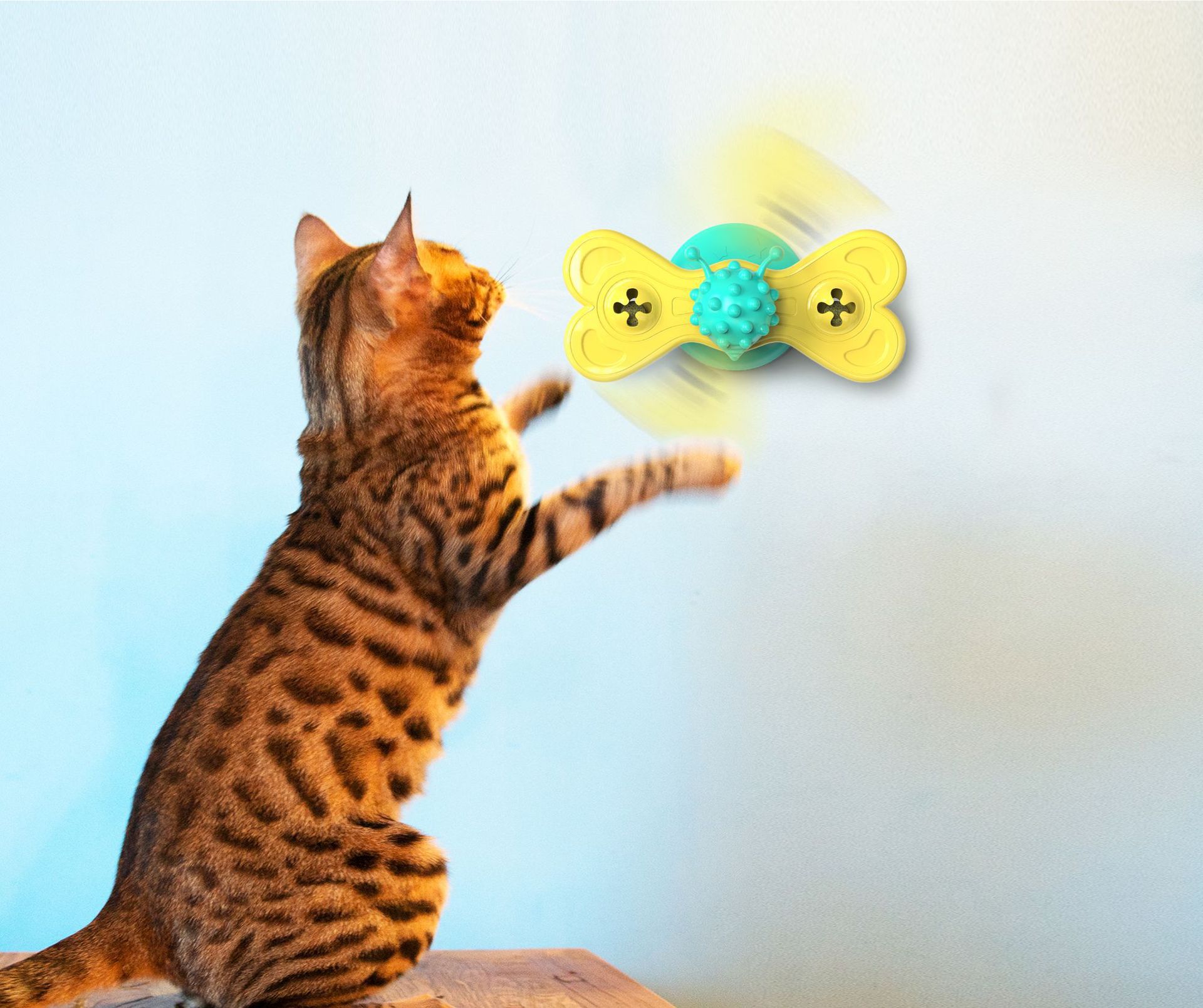 Butterfly cat turntable