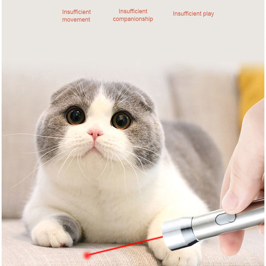 Direct Charging Stainless Steel White Light Purple Light Red Laser Laser Torch Funny Cat Light Pet Toy