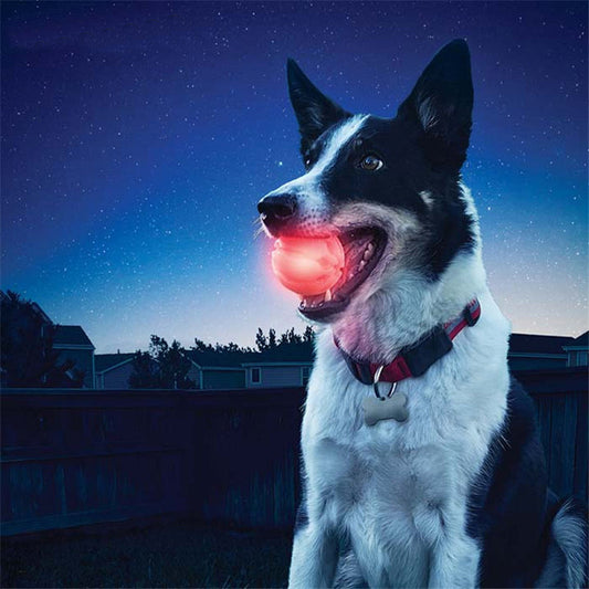Dog Toy Ball Pet Cat Solid High Elastic Honeycomb