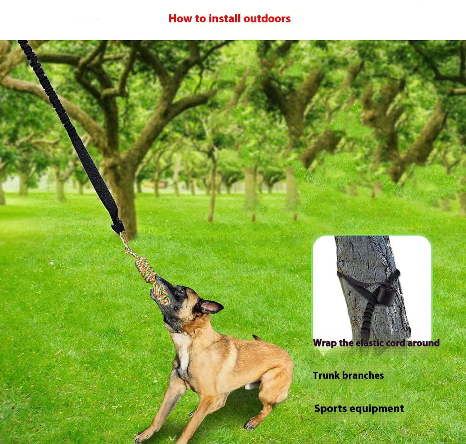 Dog Tug Of War Rope Grinding Toy