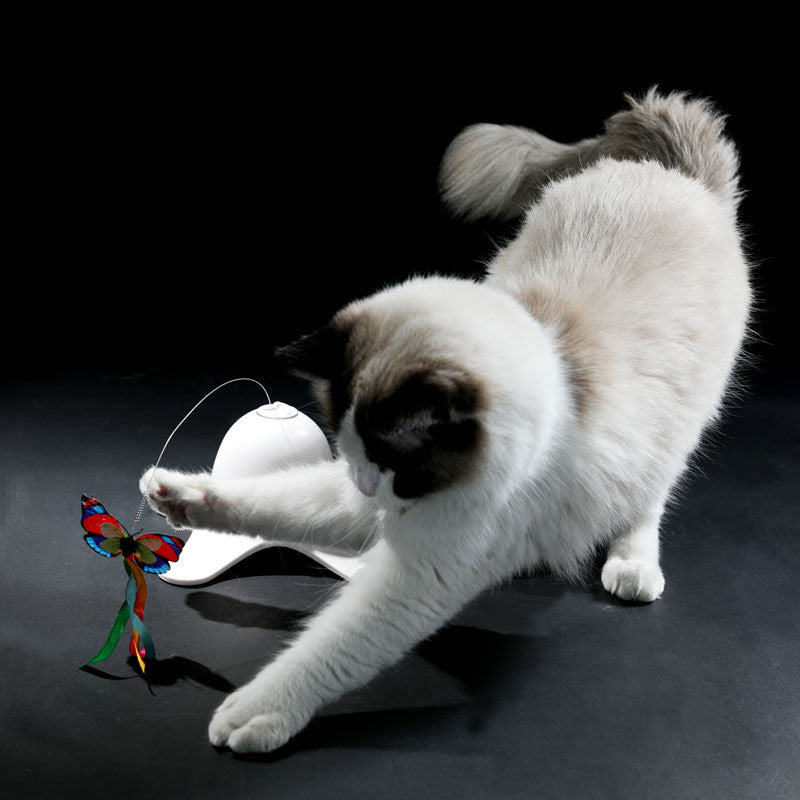 Electric Butterfly Automatic Rotating Circle Puzzle Cat Toy