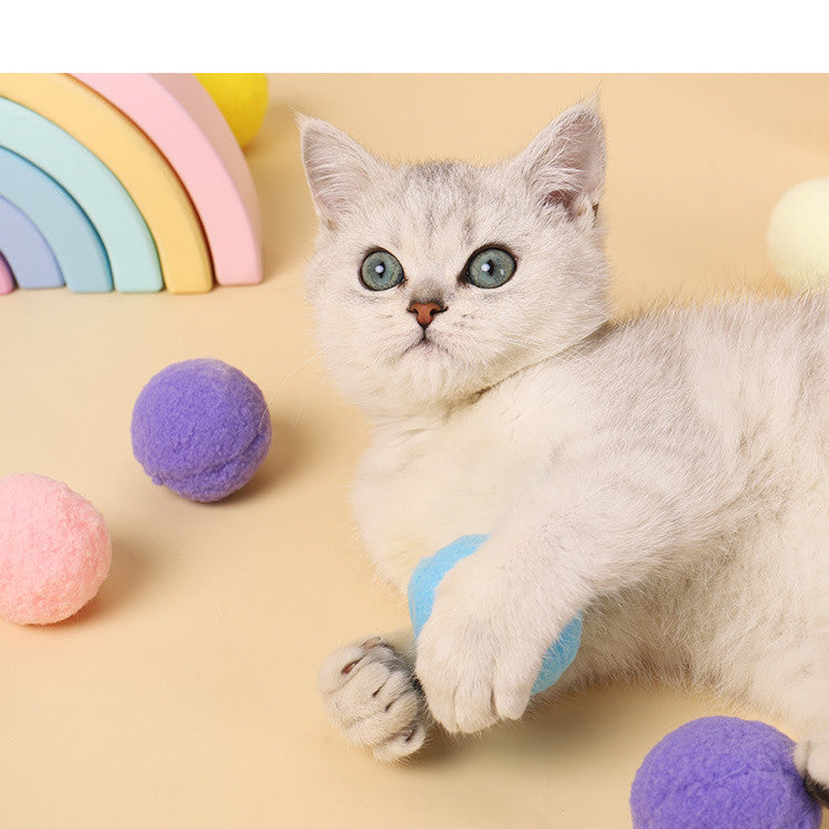 Funny Cat High Elastic Color Plush Ball Gift Box