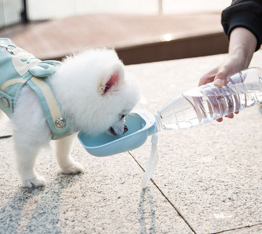 KFX-0001085 Portable Pet Water Bottle with Large Bowl Design and Eco-Friendly Lanyard