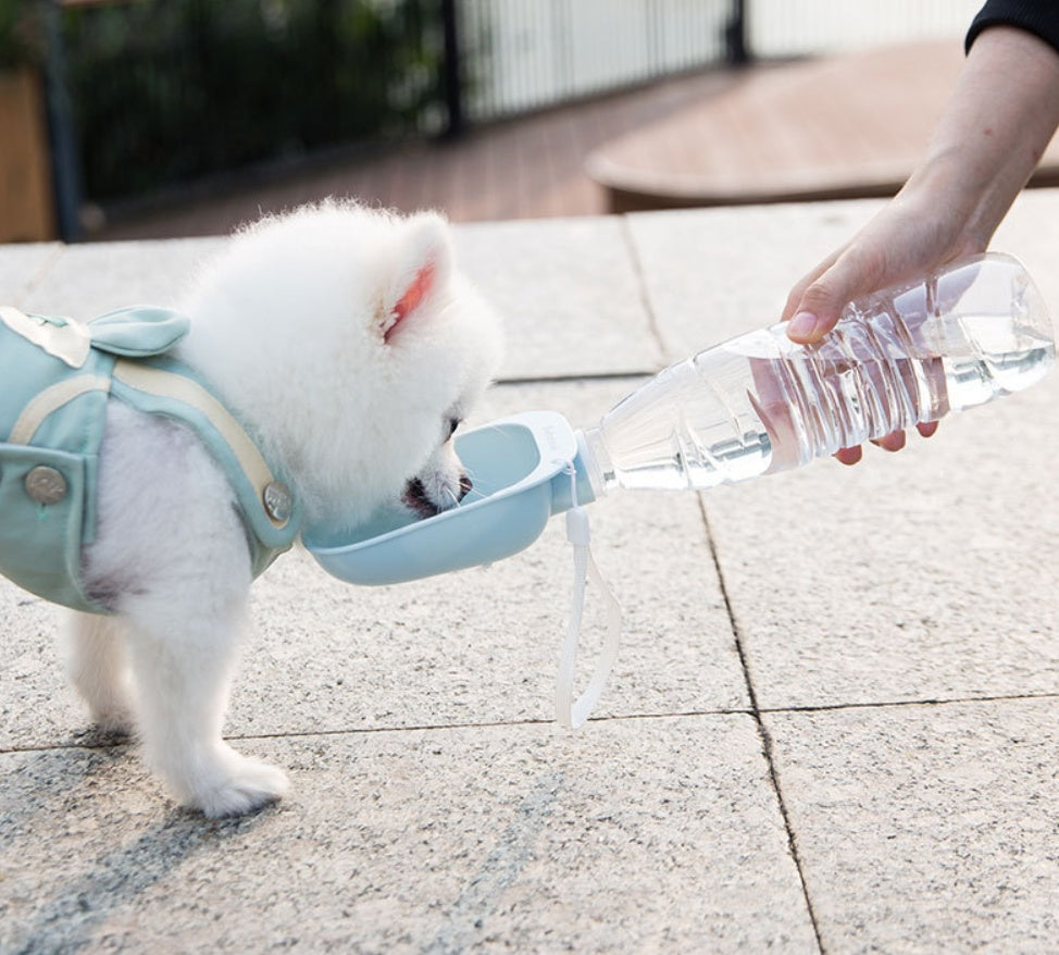 KFX-0001085 Portable Pet Water Bottle with Large Bowl Design and Eco-Friendly Lanyard