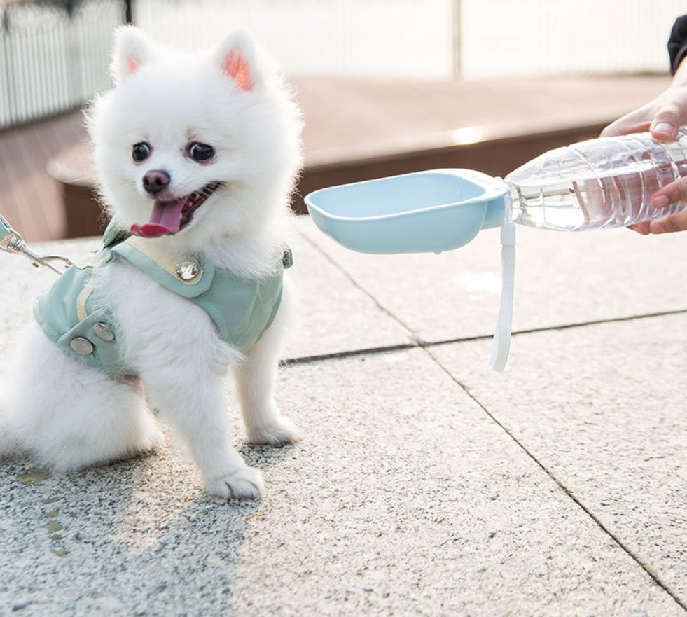 KFX-0001085 Portable Pet Water Bottle with Large Bowl Design and Eco-Friendly Lanyard