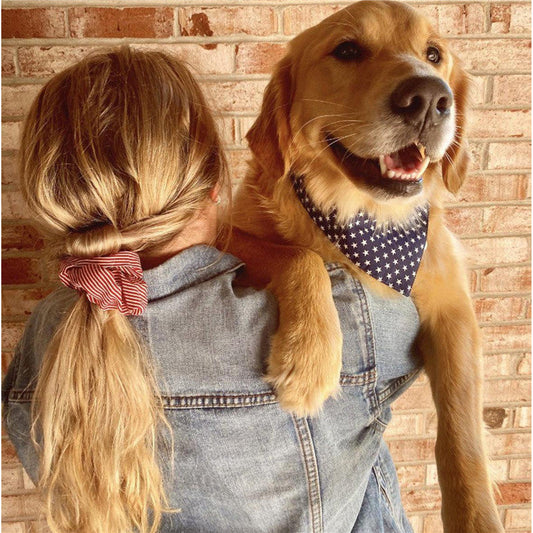 KFX-0002621 Triangle Pet Collar with Striped Cotton Headband and Scarf Set
