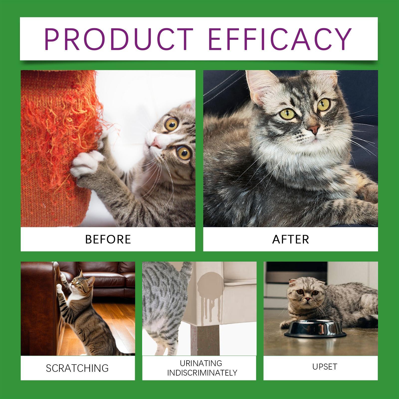 KFX-0002877 Cat Emotional Care Set for Soothing Estrus, Irritability, and Mood Management