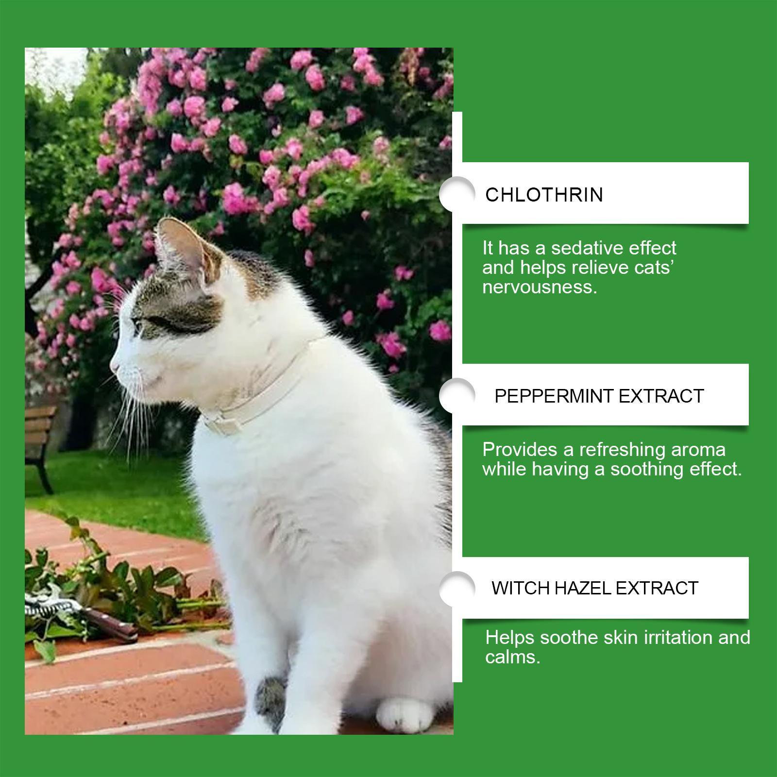 KFX-0002877 Cat Emotional Care Set for Soothing Estrus, Irritability, and Mood Management