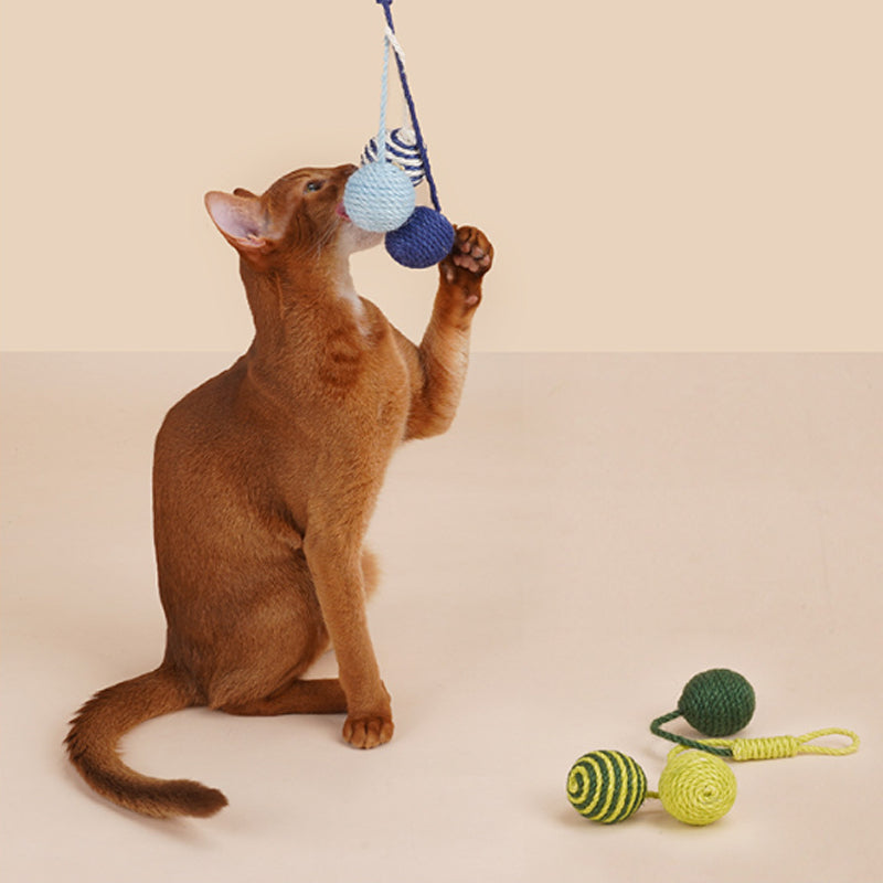 KFX-0014013 Interactive Cat Teaser Stick with Bite-Resistant Catnip Ball for Playful Kittens