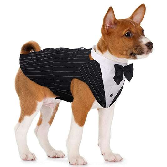 KFX-0014909 Dog Triangular Binder Vest with Triangle Scarf - Stylish Pet Apparel in Black for All Sizes