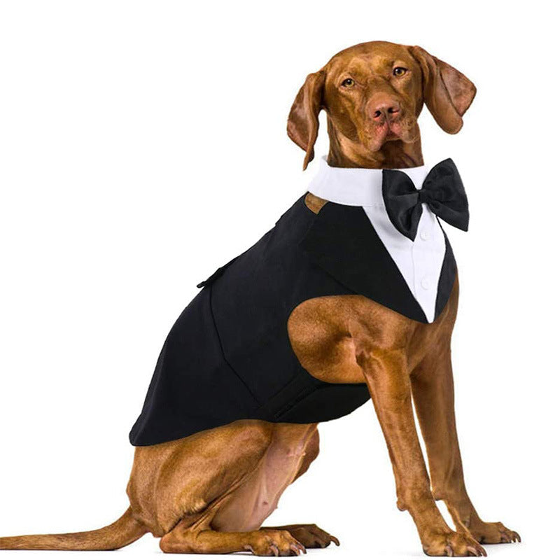 KFX-0014909 Dog Triangular Binder Vest with Triangle Scarf - Stylish Pet Apparel in Black for All Sizes
