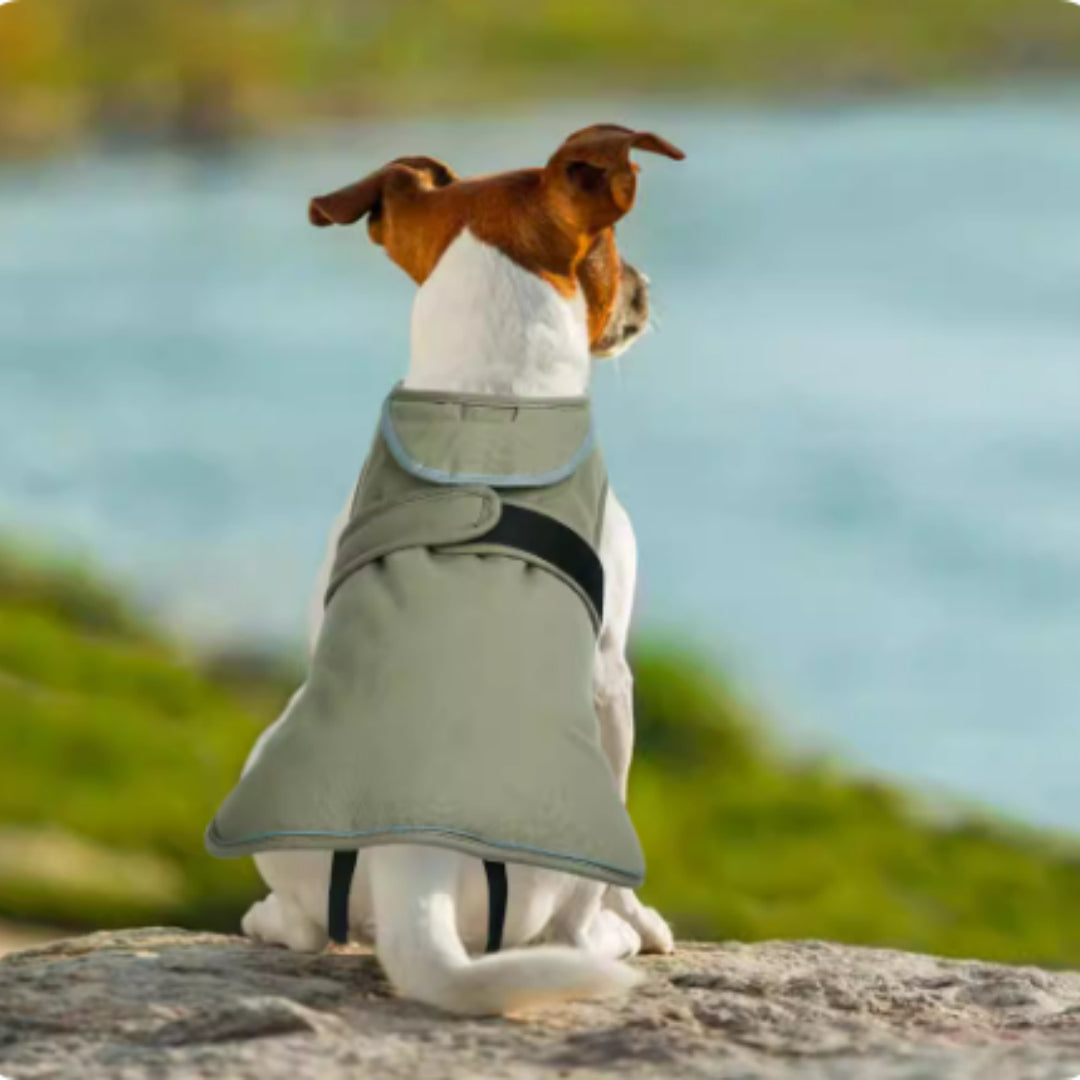 KFX-0021053 Waterproof and Windproof Fleece-Lined Dog Jacket in Army Green and Gray