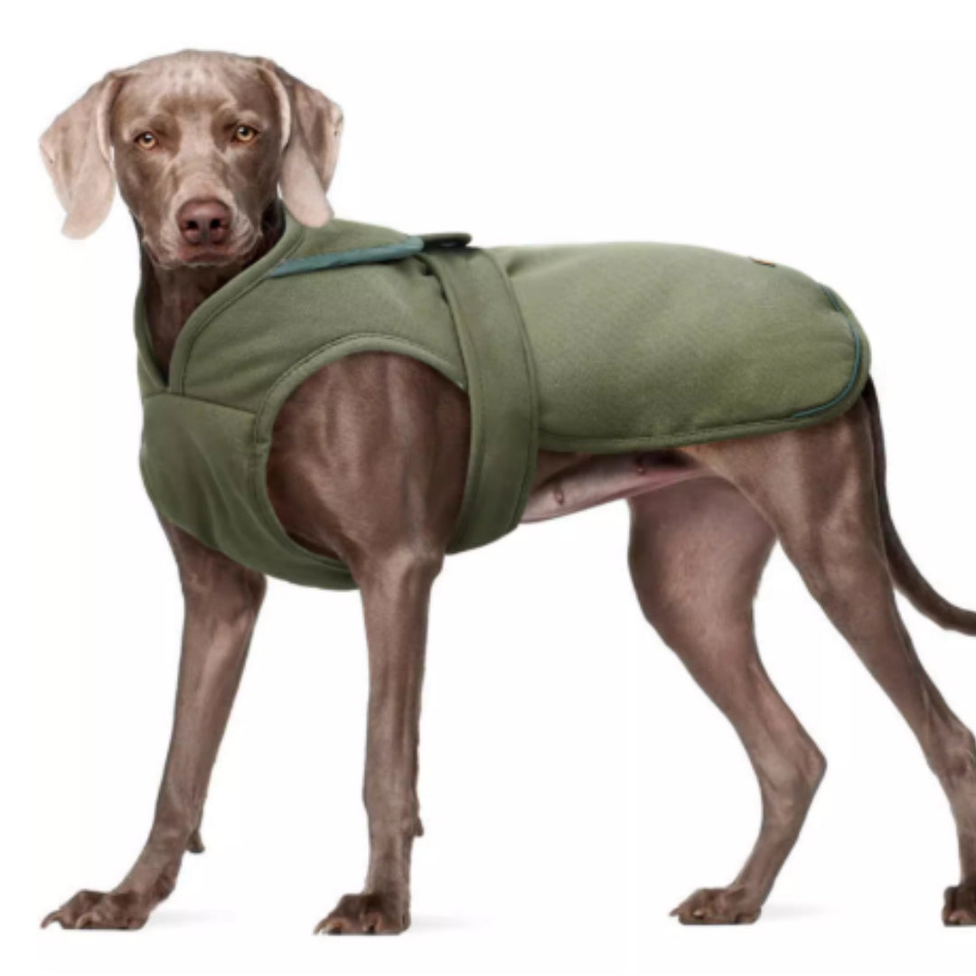 KFX-0021053 Waterproof and Windproof Fleece-Lined Dog Jacket in Army Green and Gray