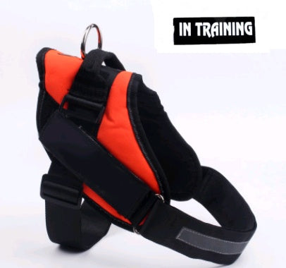 KFX-0021565 Adjustable Leather Dog Chest Harness and Leash Set for Large Breeds