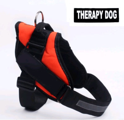 KFX-0021565 Adjustable Leather Dog Chest Harness and Leash Set for Large Breeds