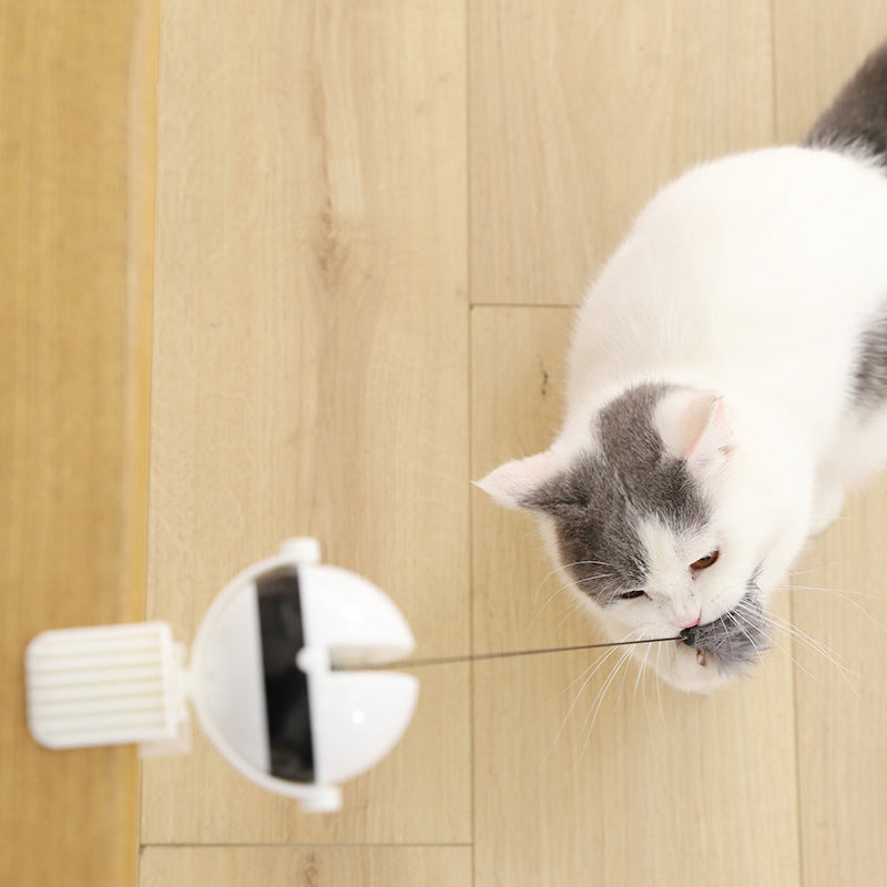 KFX-0023101 Automatic Electric Cat Ball Toy with Interactive Lifting Function and Replaceable Toys