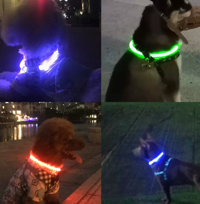 KFX-0035773 Luminous Adjustable Dog and Cat Collar with Soft Rubber Design to Enhance Visibility