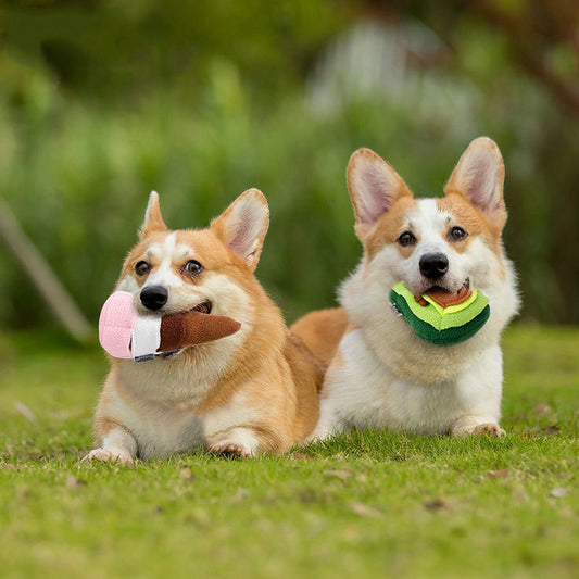 KFX-0043197 Durable Puppy Molar Toy in Avocado, Snail, and Ice Cream Designs – Soft Polar Fleece, Multi-Size Options