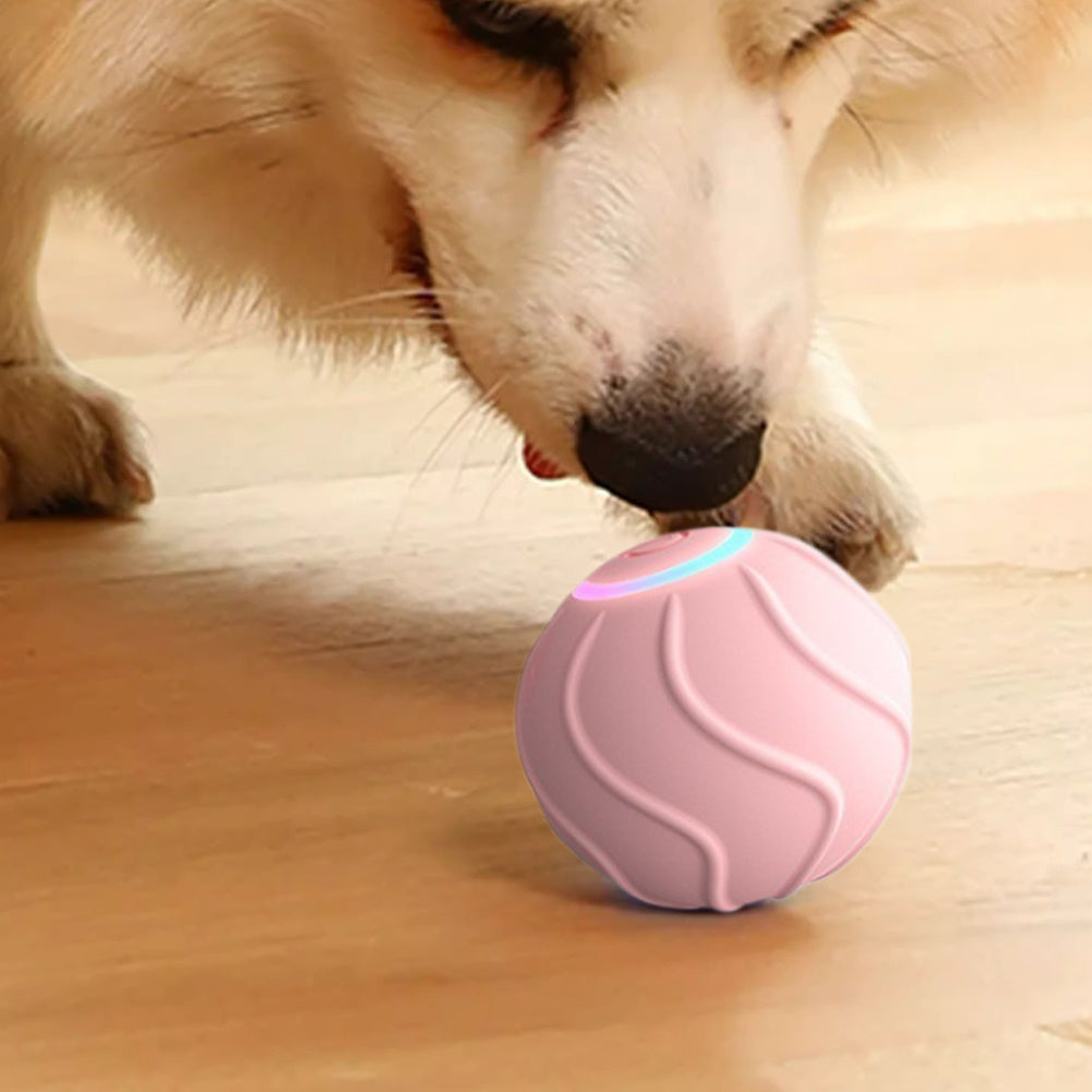 KFX-0046781 Automatic Bouncing Cat Ball Toy - Interactive Self-Moving Kitten Playball for Indoor Exercise and Cognitive Development