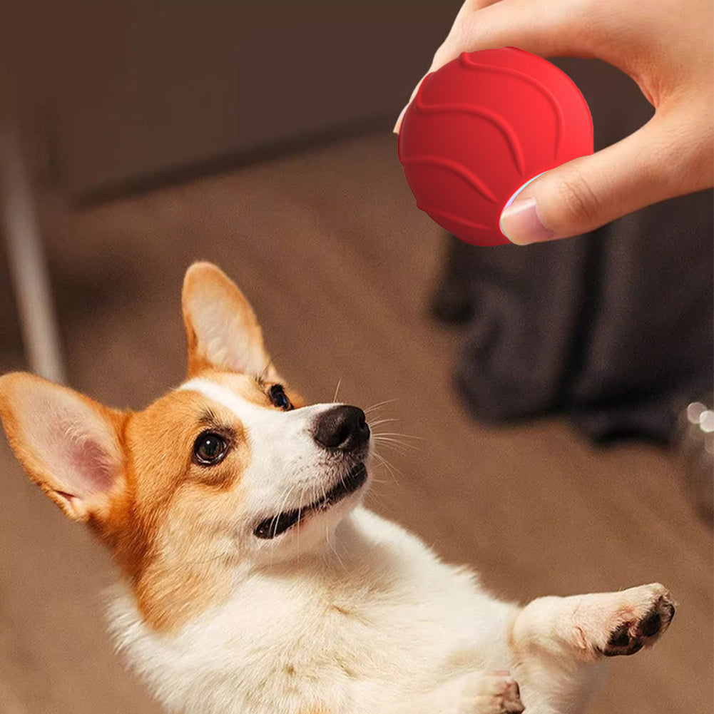 KFX-0046781 Automatic Bouncing Cat Ball Toy - Interactive Self-Moving Kitten Playball for Indoor Exercise and Cognitive Development