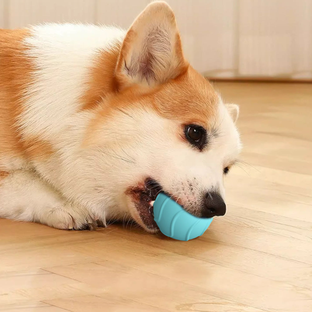 KFX-0046781 Automatic Bouncing Cat Ball Toy - Interactive Self-Moving Kitten Playball for Indoor Exercise and Cognitive Development