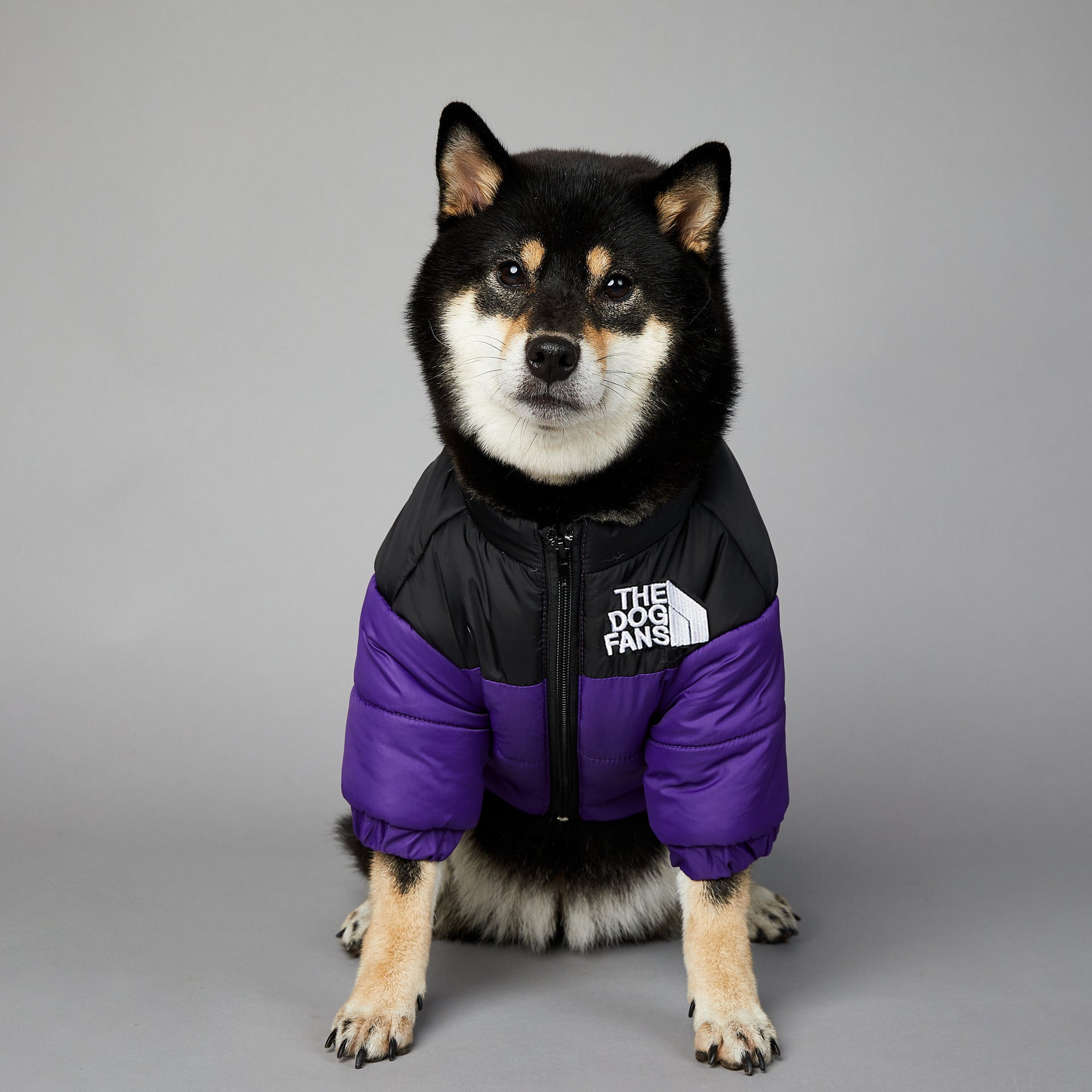 KFX-0048957 Windproof and Rainproof Winter Pet Cotton-Padded Jacket for Dogs in Various Colors and Sizes