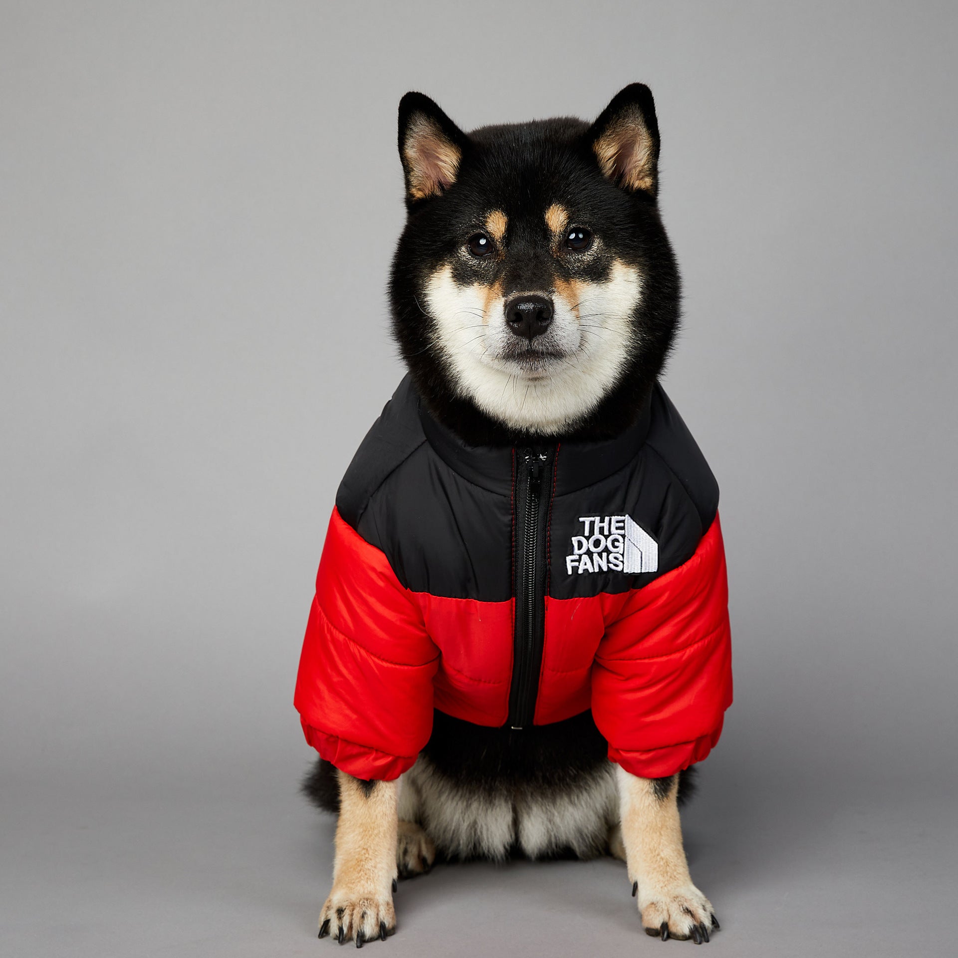 KFX-0048957 Windproof and Rainproof Winter Pet Cotton-Padded Jacket for Dogs in Various Colors and Sizes