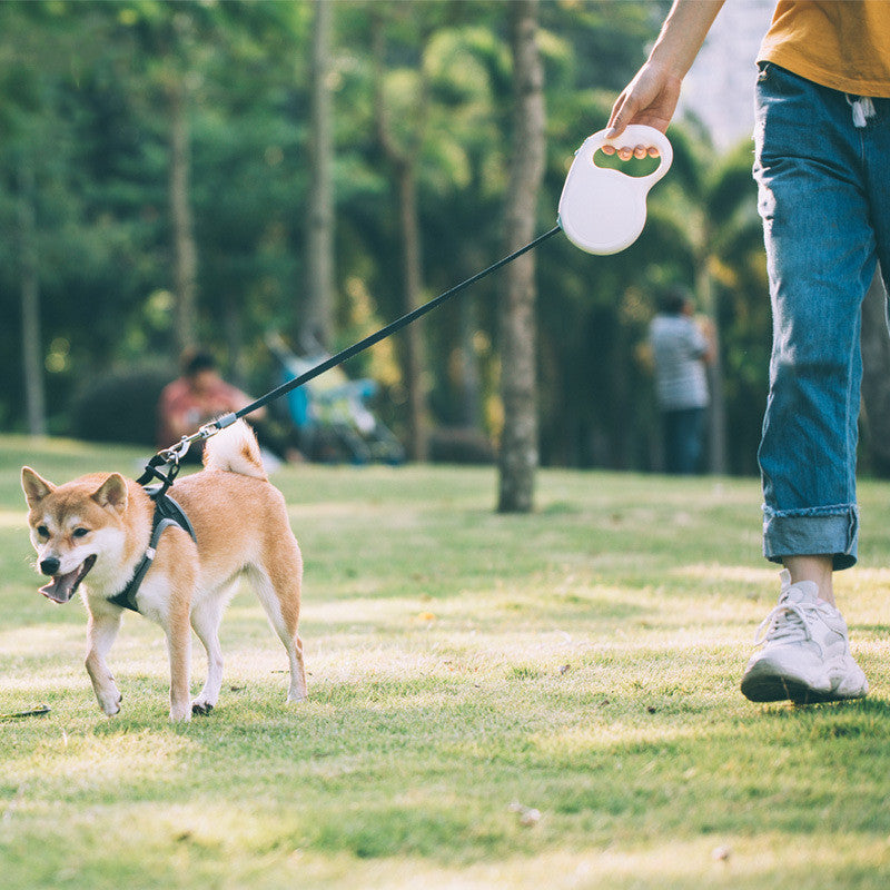 KFX-0049085 Pet Retractable Leash for Dogs of All Sizes - Nylon Traction Belt in Cream White
