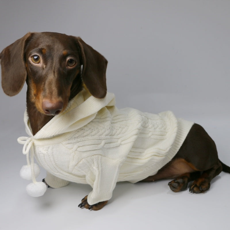 KFX-0053821 Hooded Sweater for Dogs - Warm Two-leg Design in Sky Blue or Beige, Sizes XS-XL