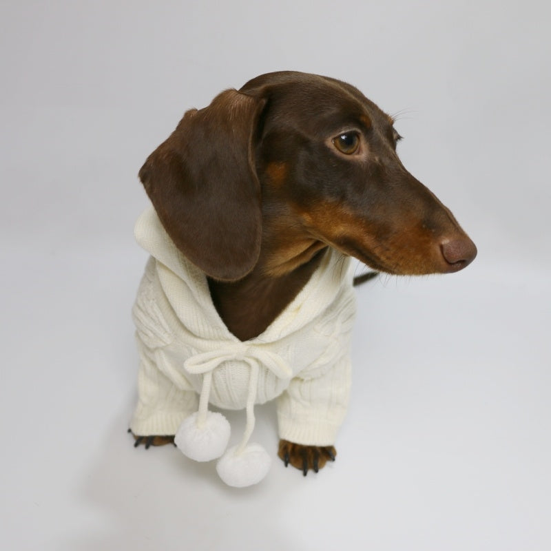 KFX-0053821 Hooded Sweater for Dogs - Warm Two-leg Design in Sky Blue or Beige, Sizes XS-XL