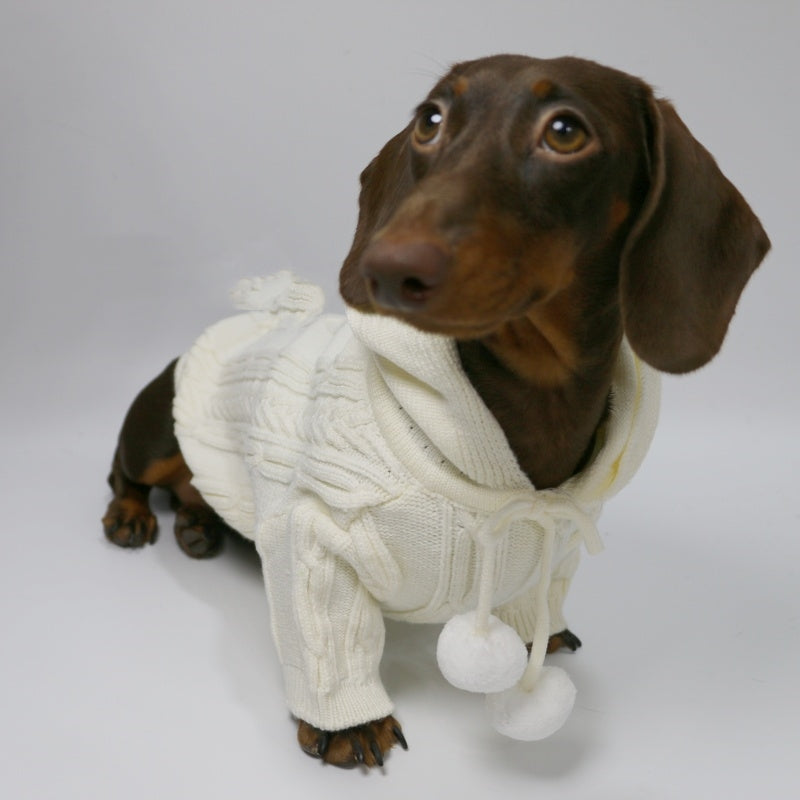 KFX-0053821 Hooded Sweater for Dogs - Warm Two-leg Design in Sky Blue or Beige, Sizes XS-XL