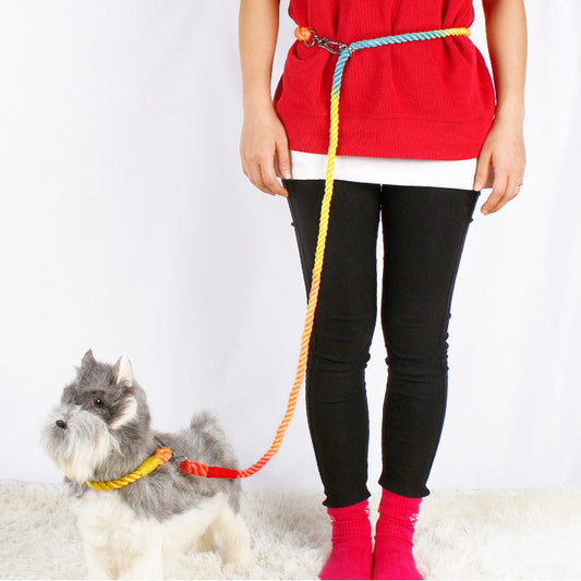 KFX-0054845 Multifunctional Braided Double-Ended Dog Leash for Active Walking