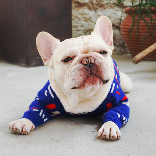 KFX-0059197 Wool Pug Sweater for Dogs - Cozy European and American Style Clothing