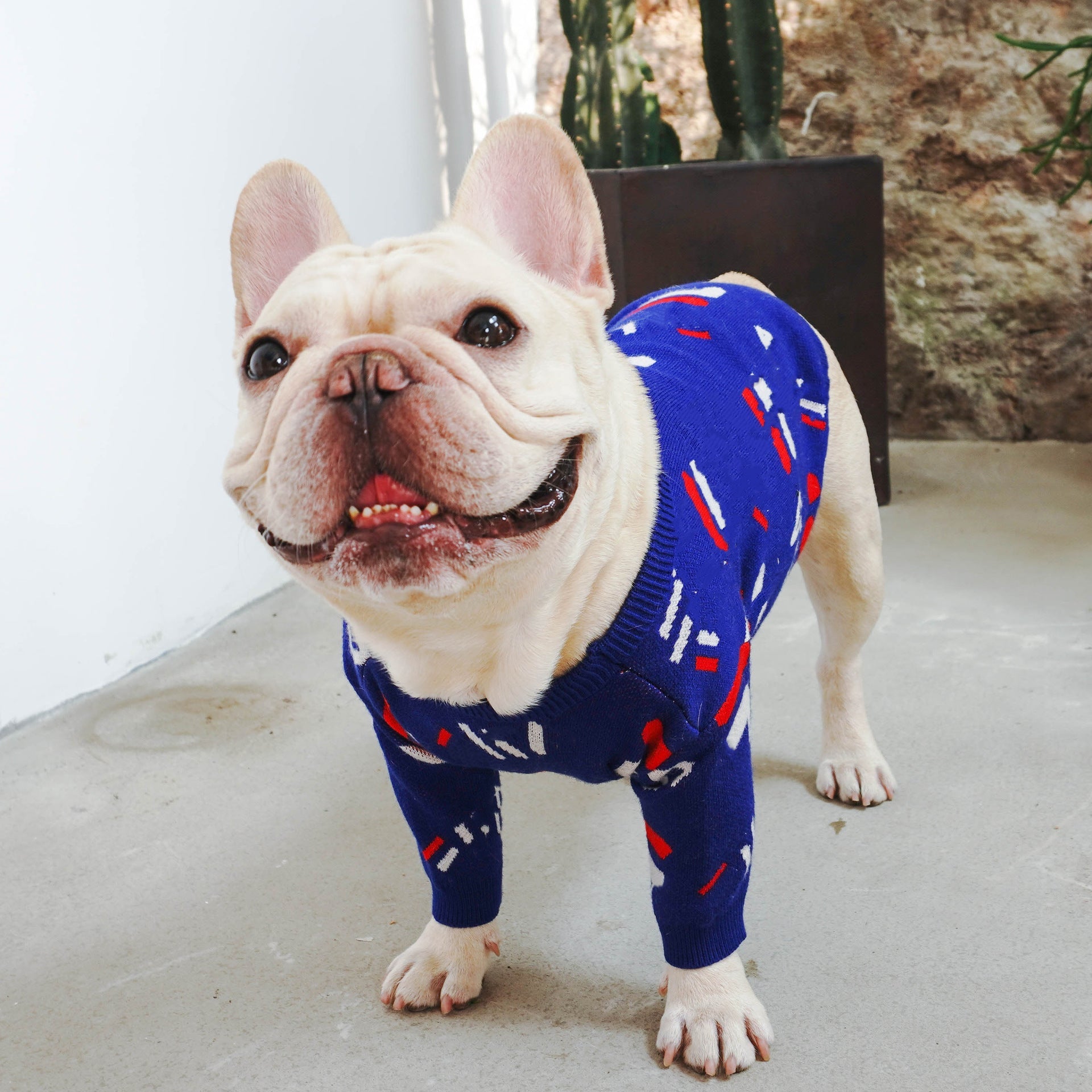 KFX-0059197 Wool Pug Sweater for Dogs - Cozy European and American Style Clothing