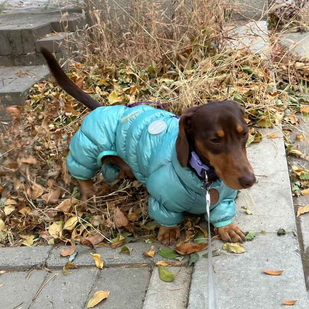 KFX-0060605 Thermal Cotton-Padded Pet Clothing for Autumn and Winter – Sizes S to XXL