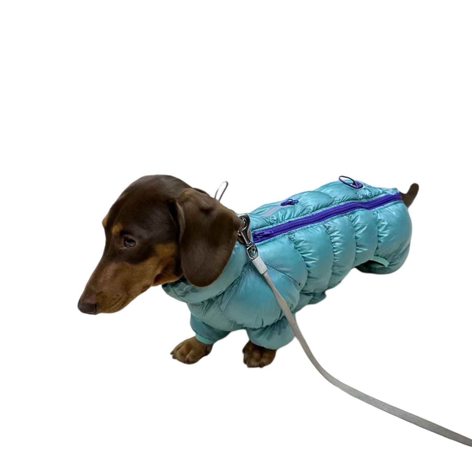 KFX-0060605 Thermal Cotton-Padded Pet Clothing for Autumn and Winter – Sizes S to XXL