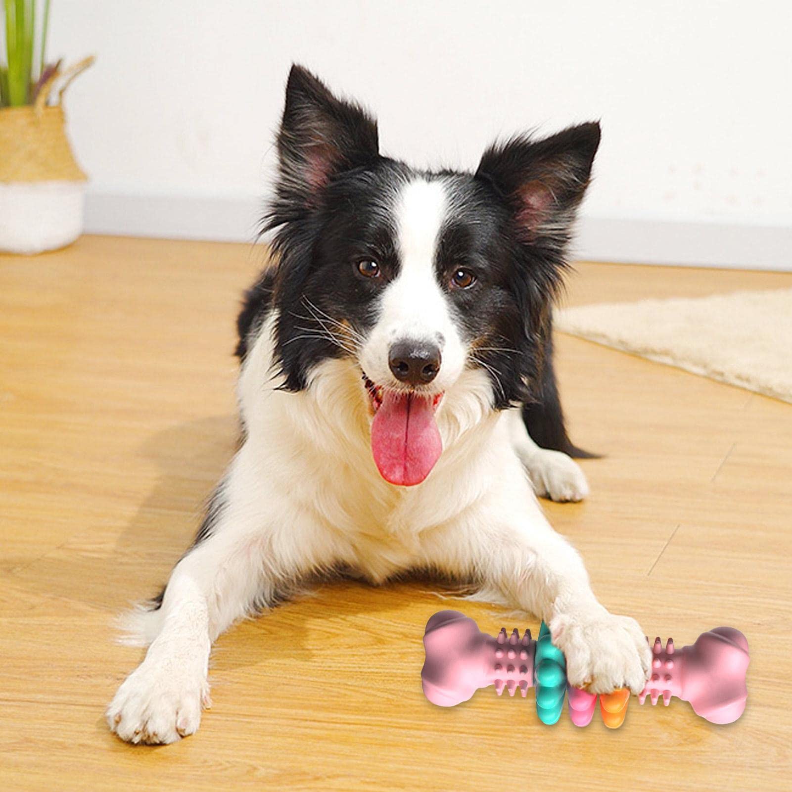 KFX-0061629 Indestructible TPR Dog Chew Toy for Teeth Cleaning and Stress Relief, Suitable for Small to Large Breeds
