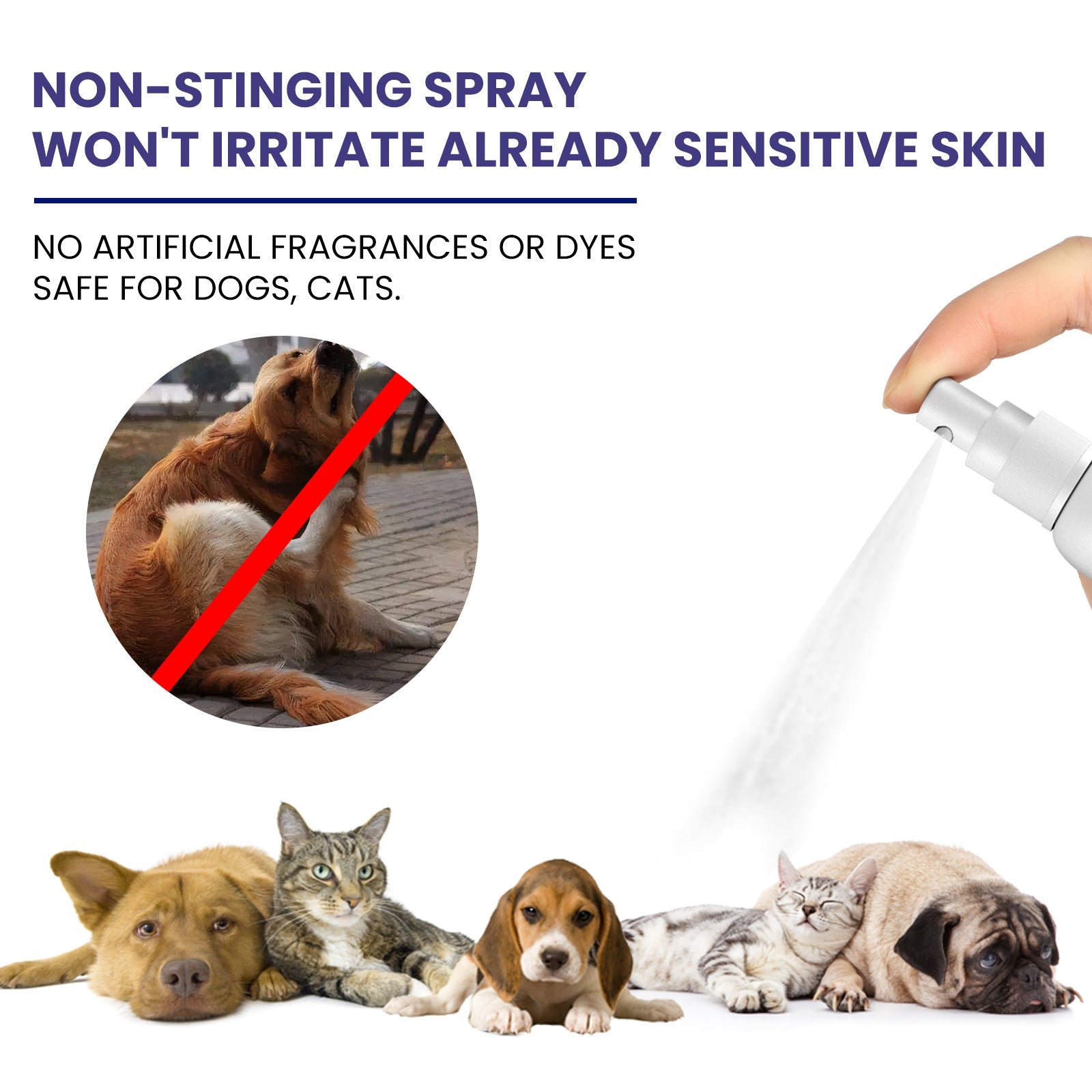 KFX-0062653 Pet Anti-Itching Spray for Cleansing and Soothing Skin - 118.56ml