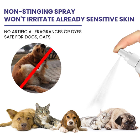 KFX-0062653 Pet Anti-Itching Spray for Cleansing and Soothing Skin - 118.56ml