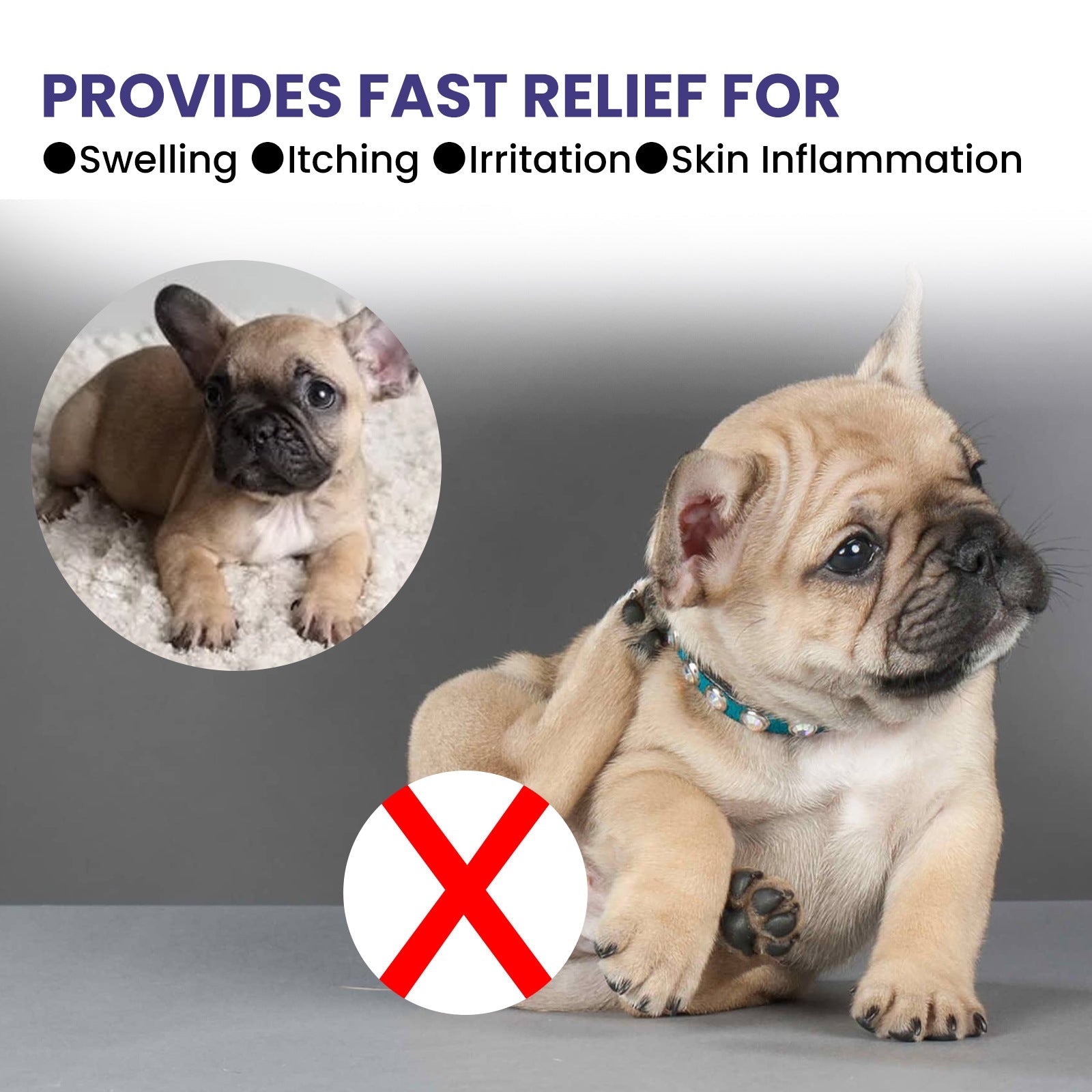 KFX-0062653 Pet Anti-Itching Spray for Cleansing and Soothing Skin - 118.56ml