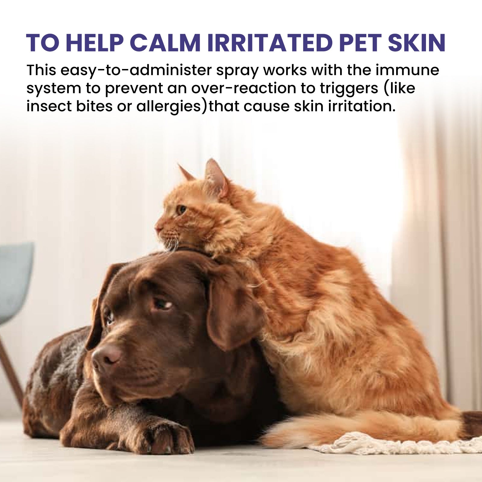 KFX-0062653 Pet Anti-Itching Spray for Cleansing and Soothing Skin - 118.56ml