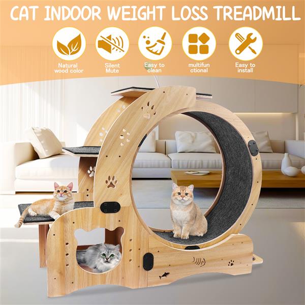 KFX-0066237 Indoor Cat Exercise Wheel - 6-in-1 Sports Device for Active Cats, Heavy-Duty Wood Design, Smooth Silent Operation, Safe for Pets