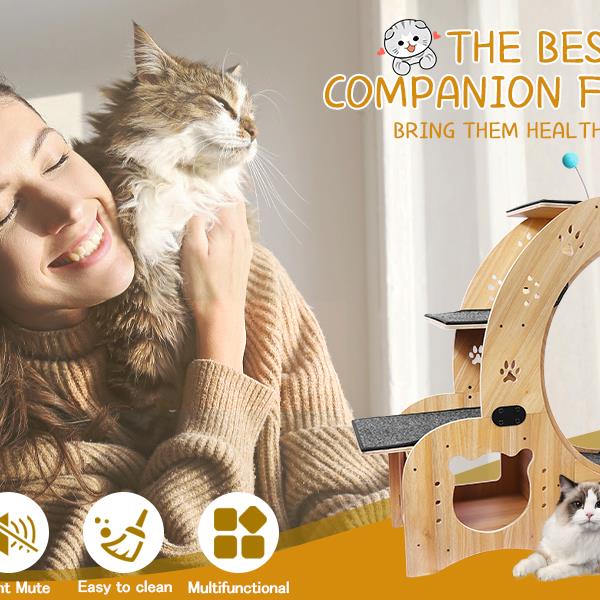 KFX-0066237 Indoor Cat Exercise Wheel - 6-in-1 Sports Device for Active Cats, Heavy-Duty Wood Design, Smooth Silent Operation, Safe for Pets