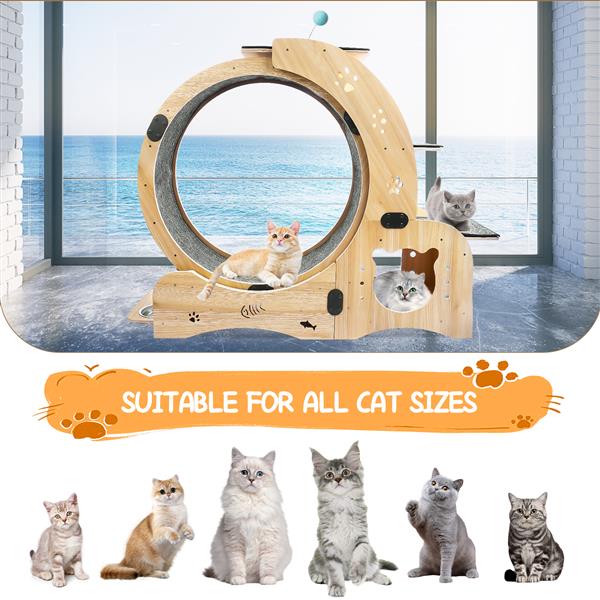 KFX-0066237 Indoor Cat Exercise Wheel - 6-in-1 Sports Device for Active Cats, Heavy-Duty Wood Design, Smooth Silent Operation, Safe for Pets